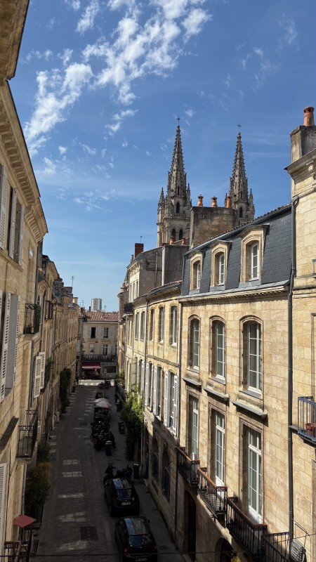 À vendre bel appartement au coeur des CHARTRONS à BORDEAUX vaste séjour trois chambres rue calme entre la rue Notre-Dame et les quais de la Garonne